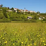 Bed & Breakfast River House Radolca