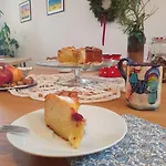 Bed & Breakfast River House Radolca