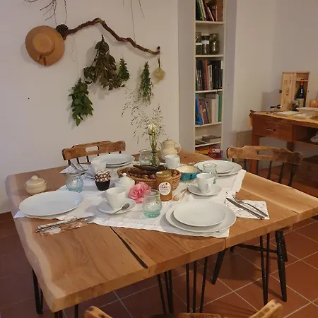 River House Radolca Couette-café 3*