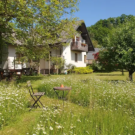 River House Radolca Nocleg ze śniadaniem