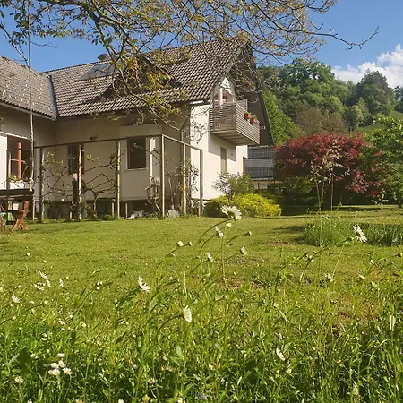 Bed & Breakfast River House Radolca