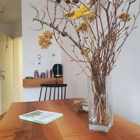 River House Radolca Bed & Breakfast Radovljica