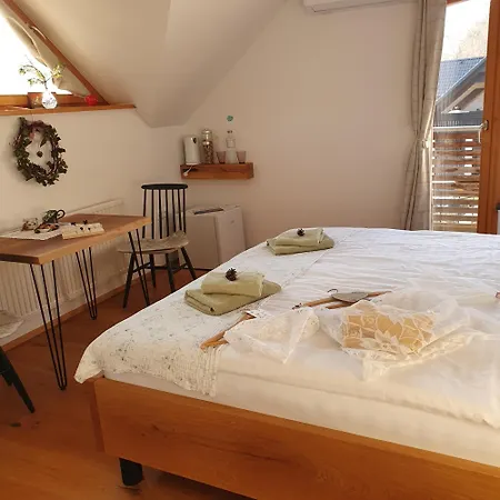 Panzió River House Radolca