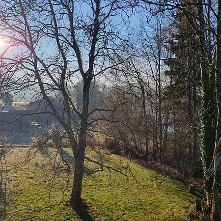 Bed and Breakfast River House Radolca 3*