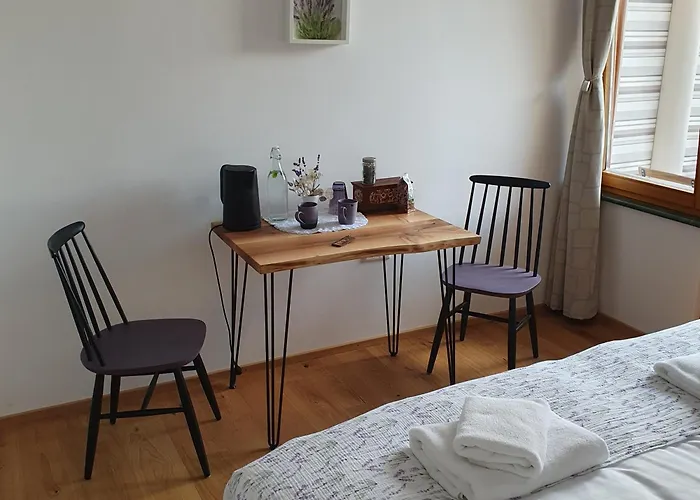 Panzió River House Radolca