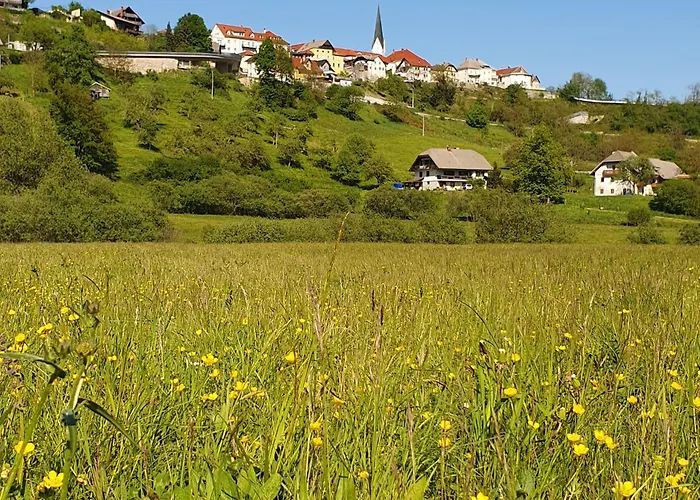 Frühstückspension River House Radolca