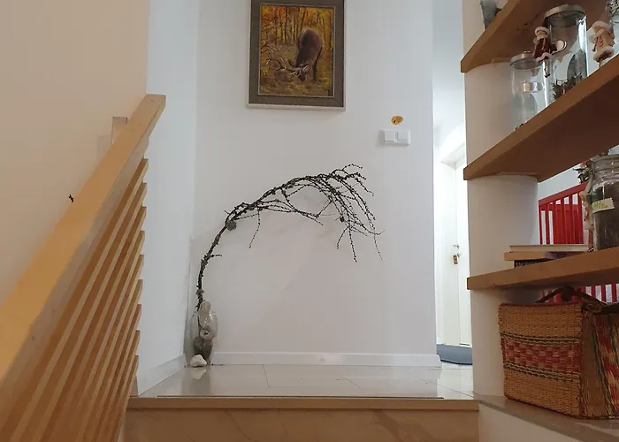 River House Radolca Nočitev z zajtrkom 3*